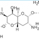 Apramycin 