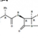 Azlocillin 