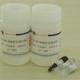 CFSE Cell Division Assay Kit