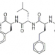 Carfilzomib
