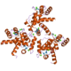 Cav1.3 Calcium Channel Monoclonal Antibody (Clone S38-8)