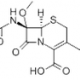 Cefoxitin