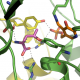 Cystathionine γ-Lyase