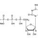 Cytidine Triphosphate Disodium
