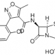 Dicloxacillin