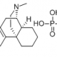 Dimemorfan phosphate