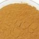 Doramectin
