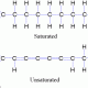 Fatty Acid Screening Library (96-well)