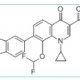 Garenoxacin