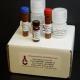 HDAC Cell-Based Activity Assay Kit