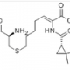 Imipenem and Cilastatin Sodium