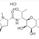 Lincomycin 