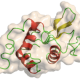 Lysozyme