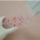 Methyltransferase Colorimetric Assay Kit