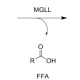 Monoacylglycerol Lipase Inhibitor Screening Assay Kit