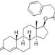 Nandrolone phenylpropionate 