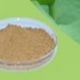 Natural Nymphaea coerulea extract