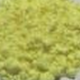 Picric acid