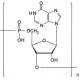 Polyinosinic acid