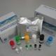 Prostaglandin D Synthase (hematopoietic-type) FP-Based Inhibitor Screening Assay Kit - Green