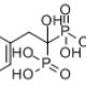 Risedronate Sodium Tablets