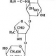 Streptomycin 