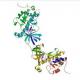 TRPM7 Channel (Ser/Thr Kinase) Monoclonal Antibody (Clone S74-25)