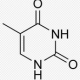 Thymine 