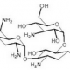 Tobramycin