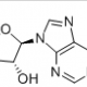 Vidarabine 