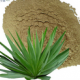 Yucca aloifolia extract